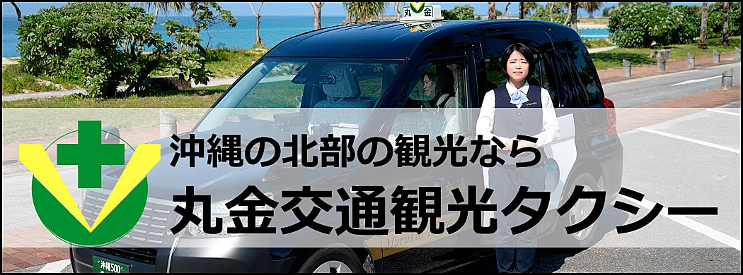 丸金交通観光タクシー